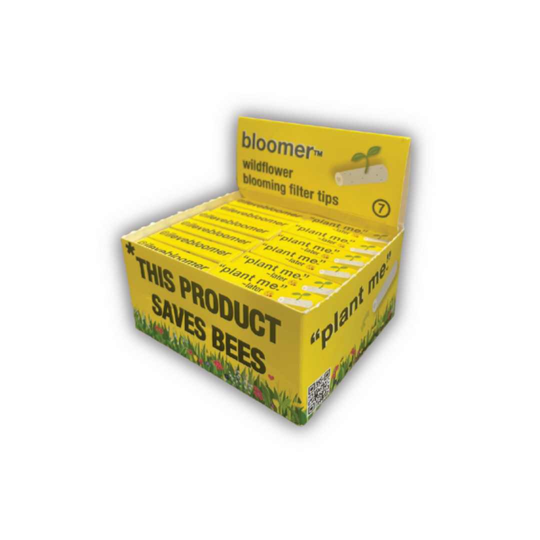 bloomer wildflower filter tips wholesale box