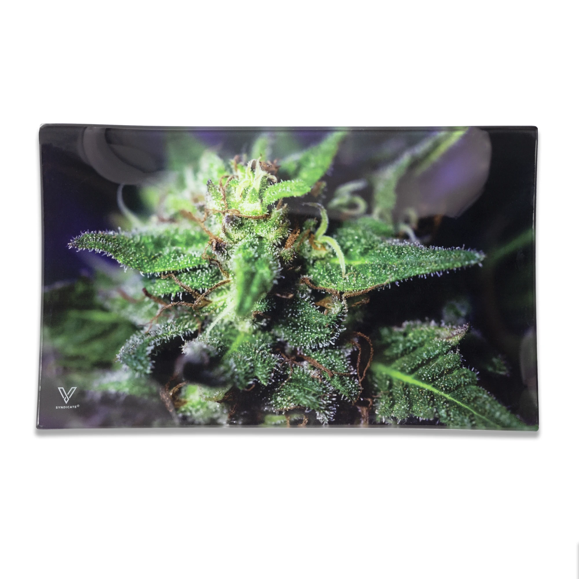 glass rolling tray blue dream medium v syndicate