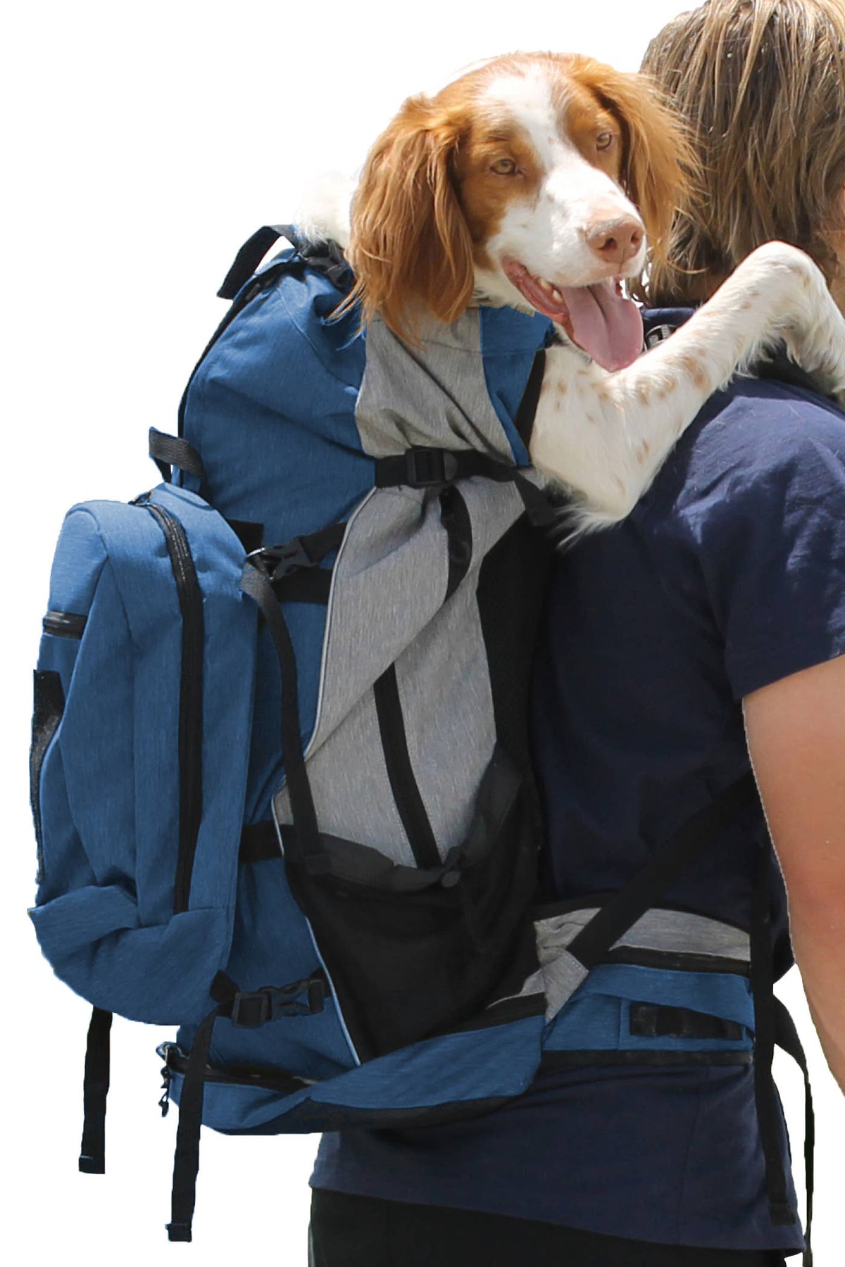 K9 Sport Sack® Rover