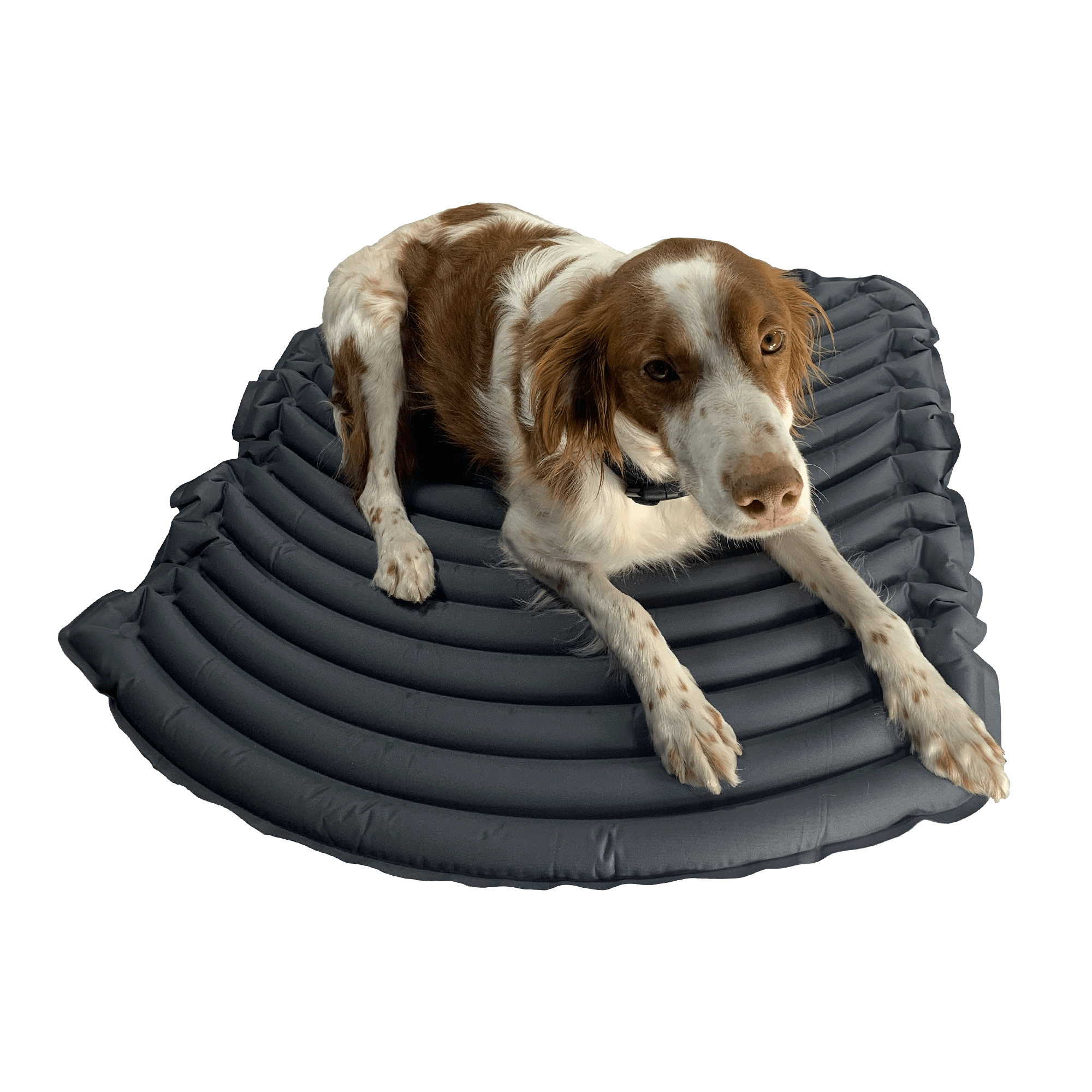 K9 Sport Sack® Sleeper