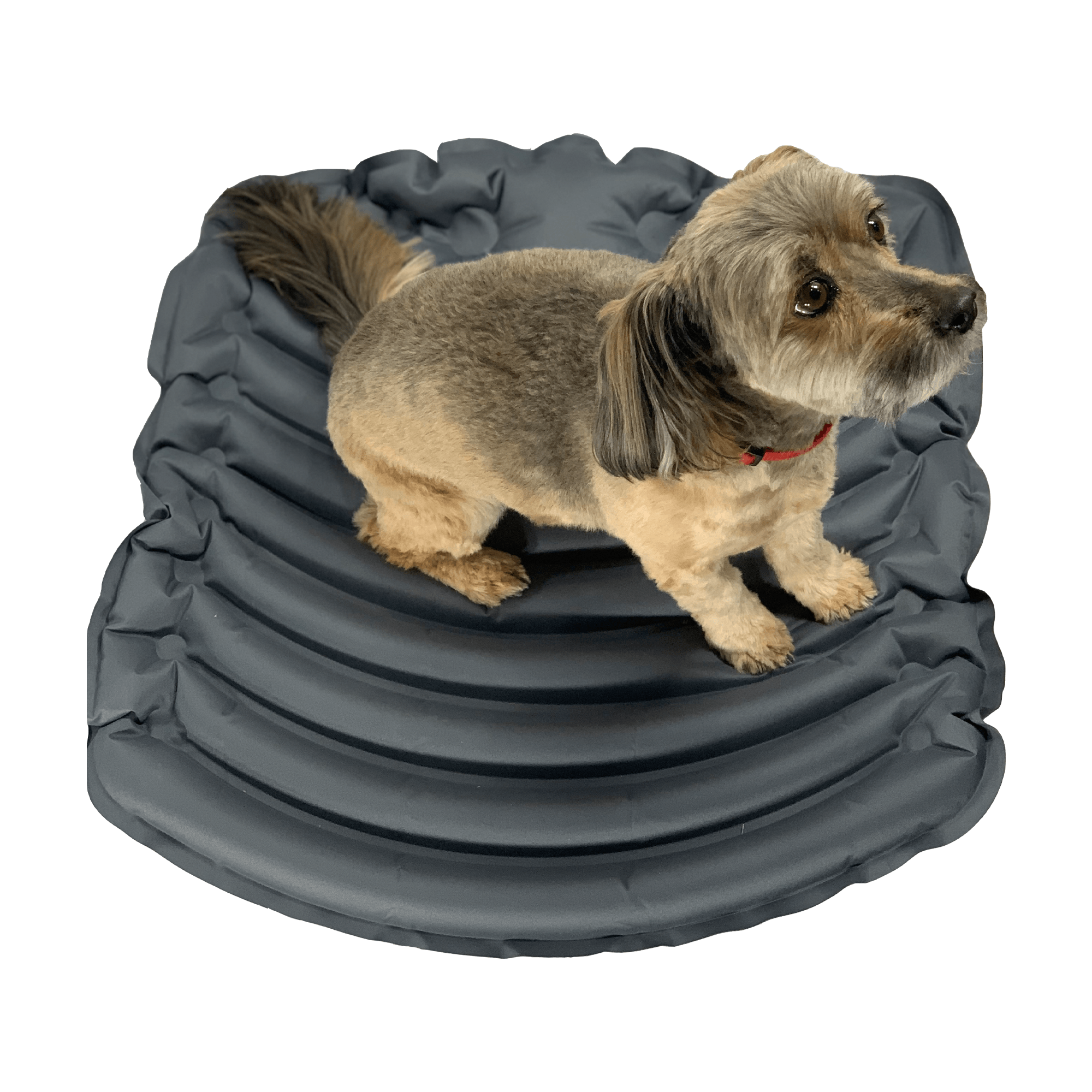 K9 Sport Sack® Sleeper