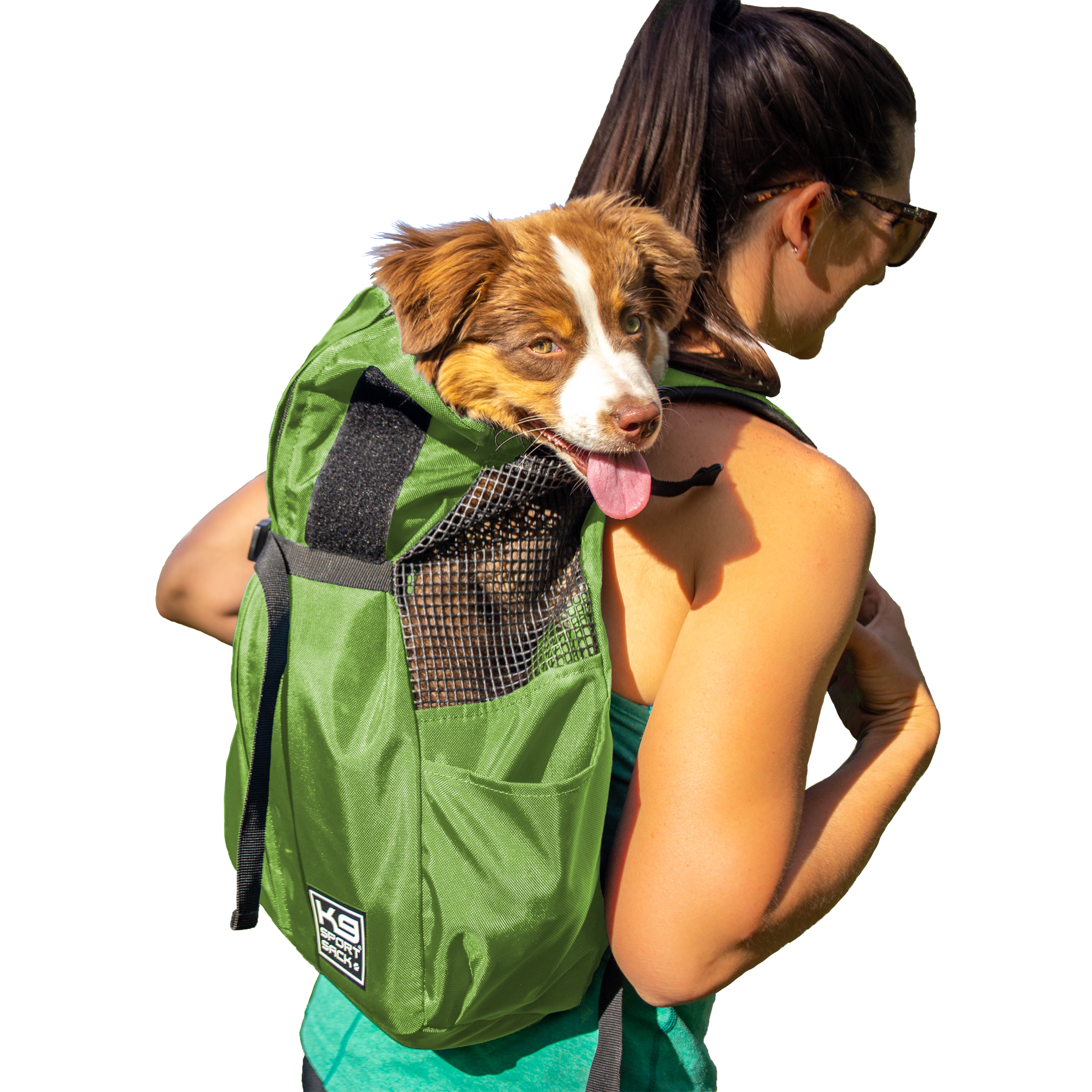 K9 Sport Sack® Trainer