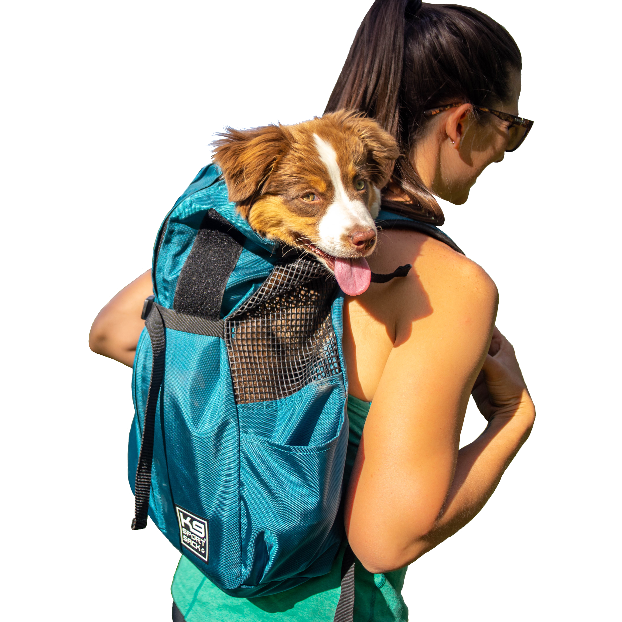 K9 Sport Sack® Trainer