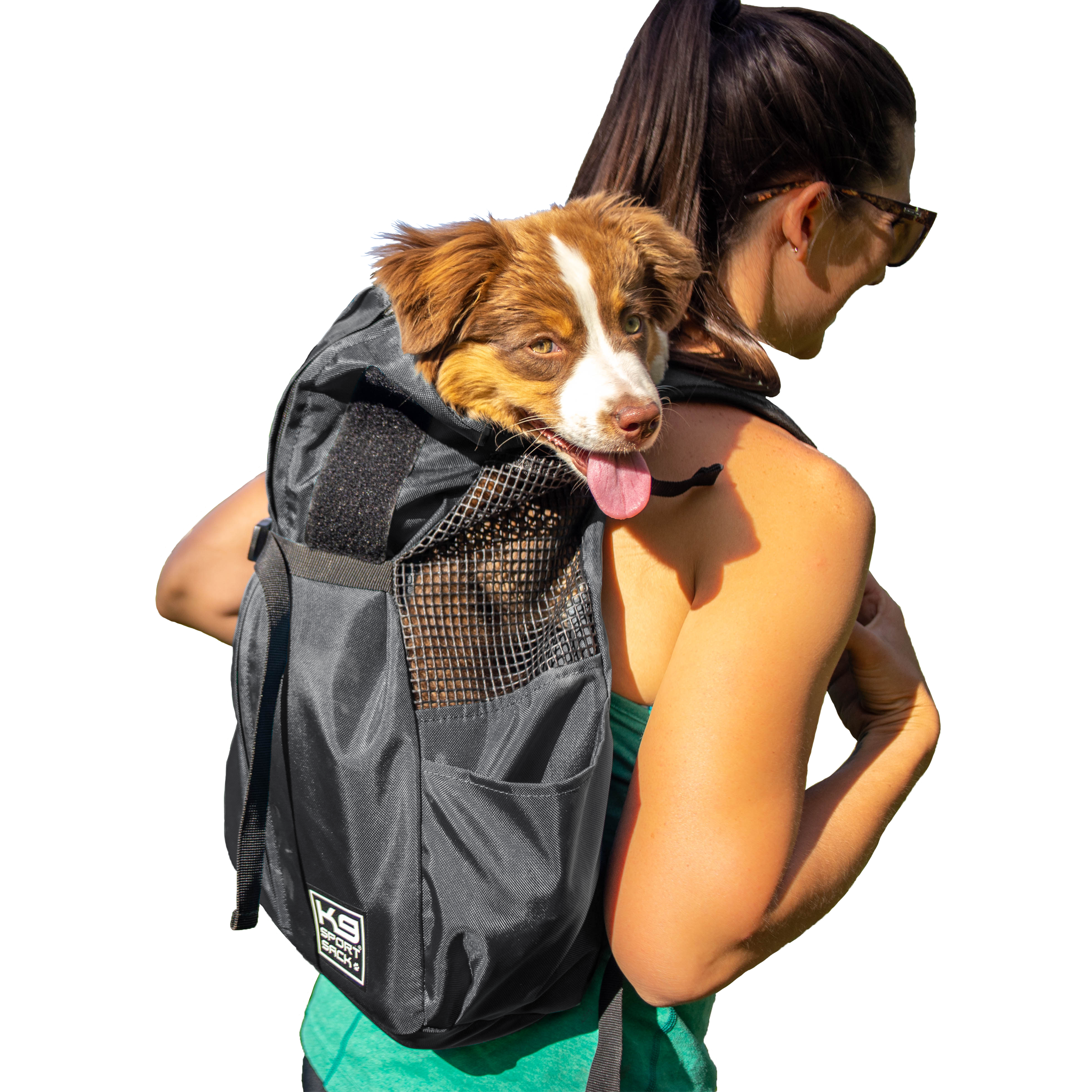 K9 Sport Sack® Trainer