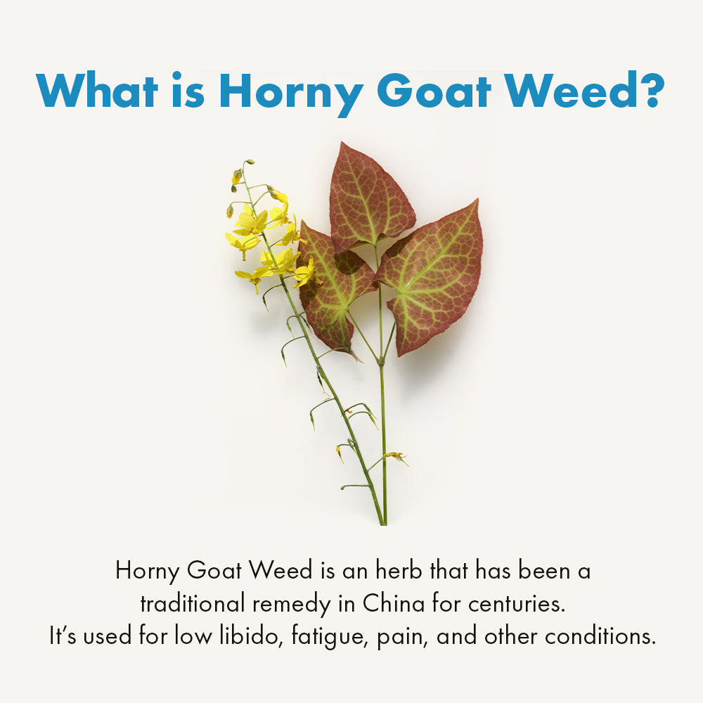 love bears male enhancement gummies horny goat weed
