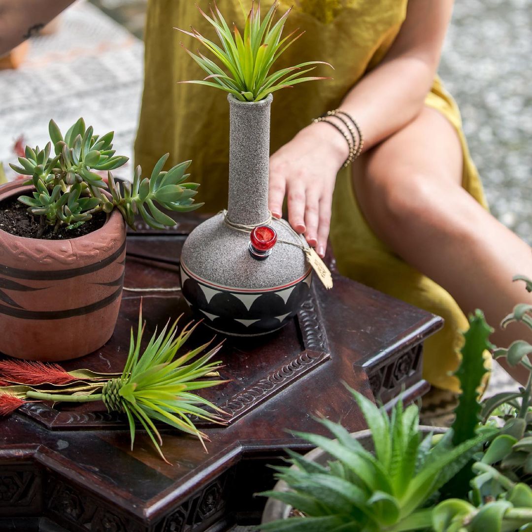 my bud vase coyote water pipe vase bong