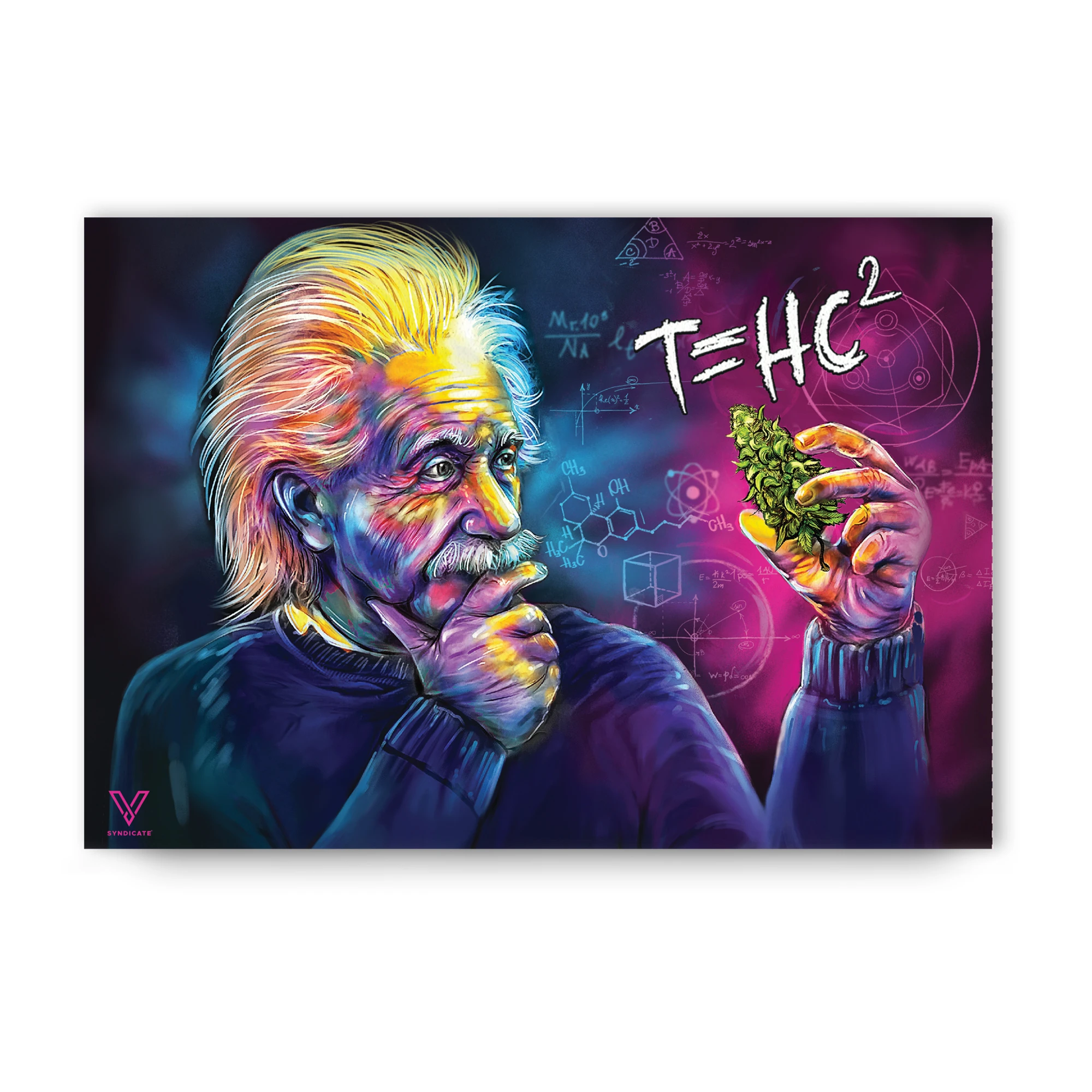 slikks dab mat classic albert einstein