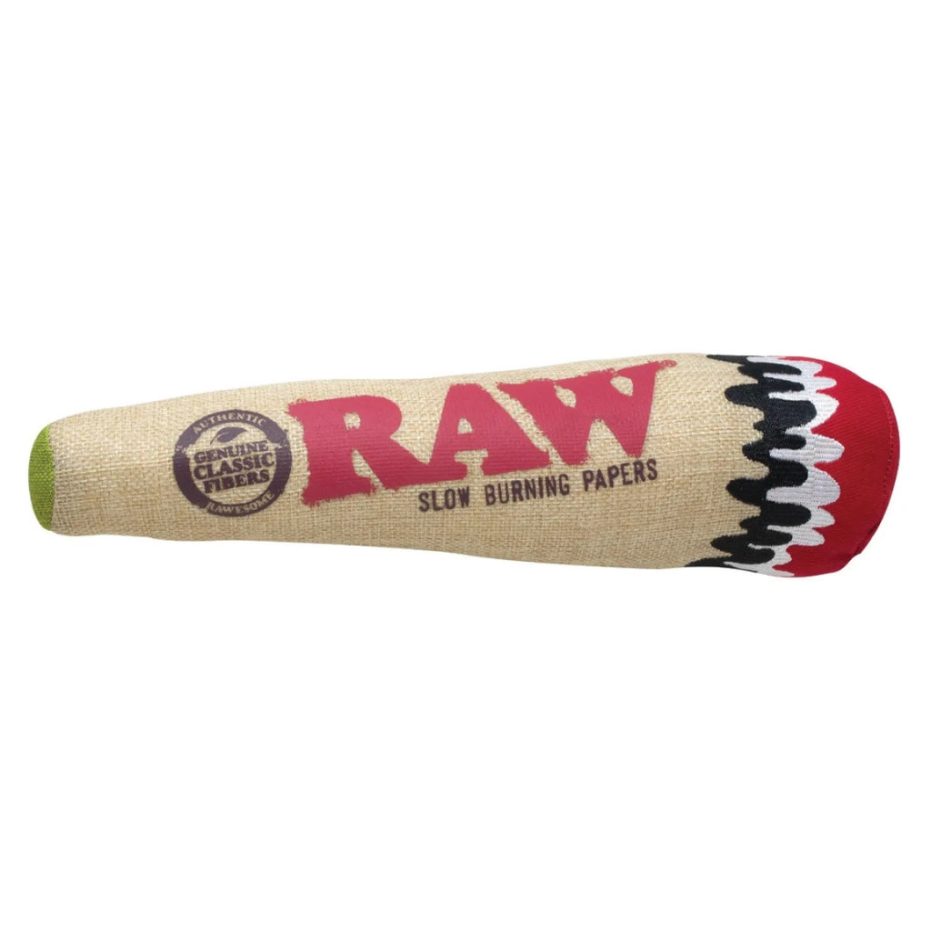 RAW Squeaky Cone Dog Toy