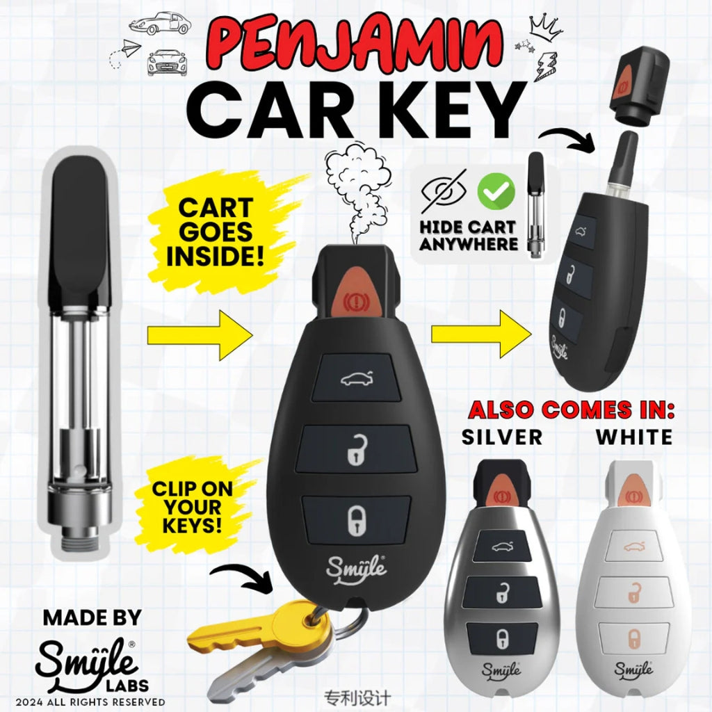 Smyle Labs Car Key Penjamin Battery