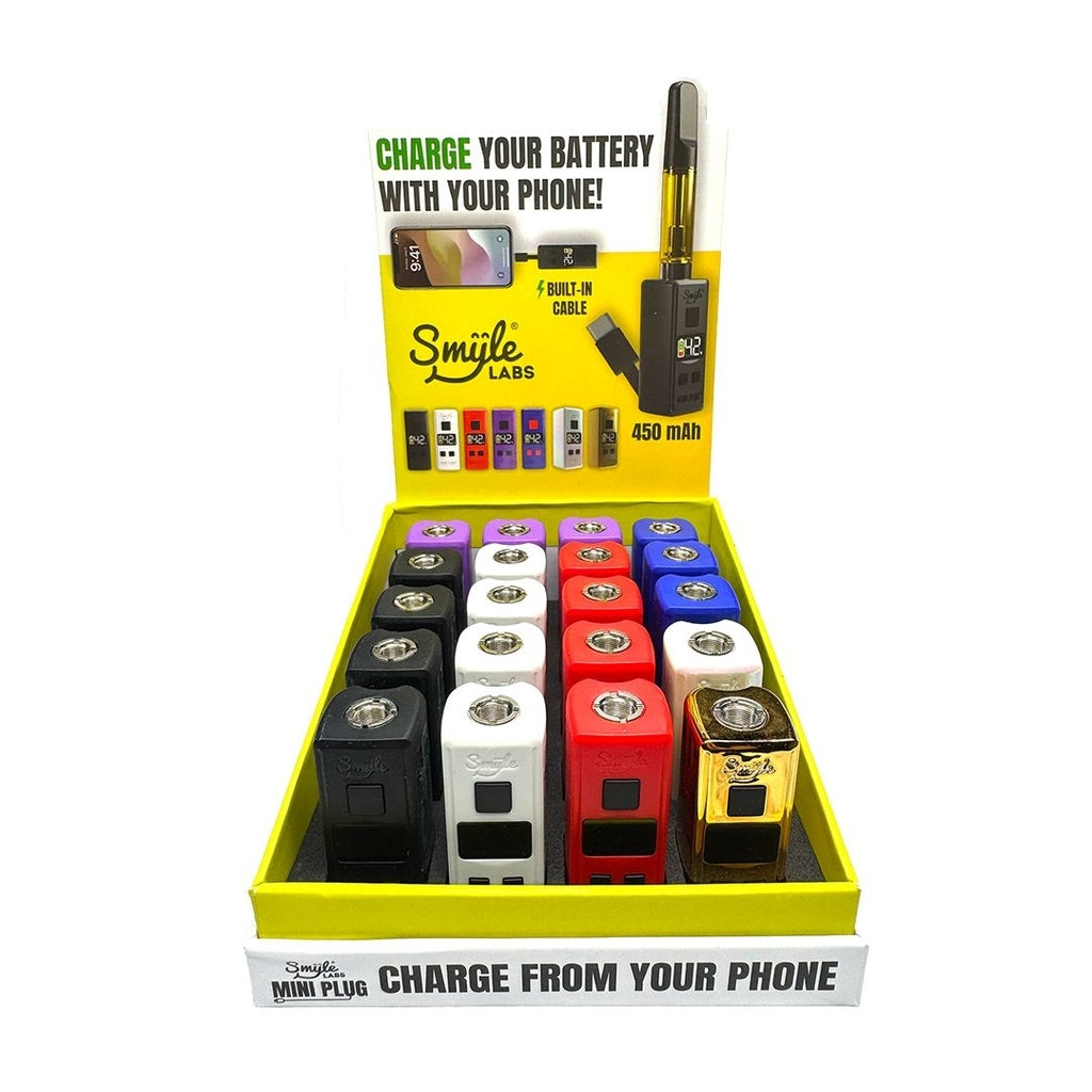 Smyle Labs Mini Plug Cart Battery