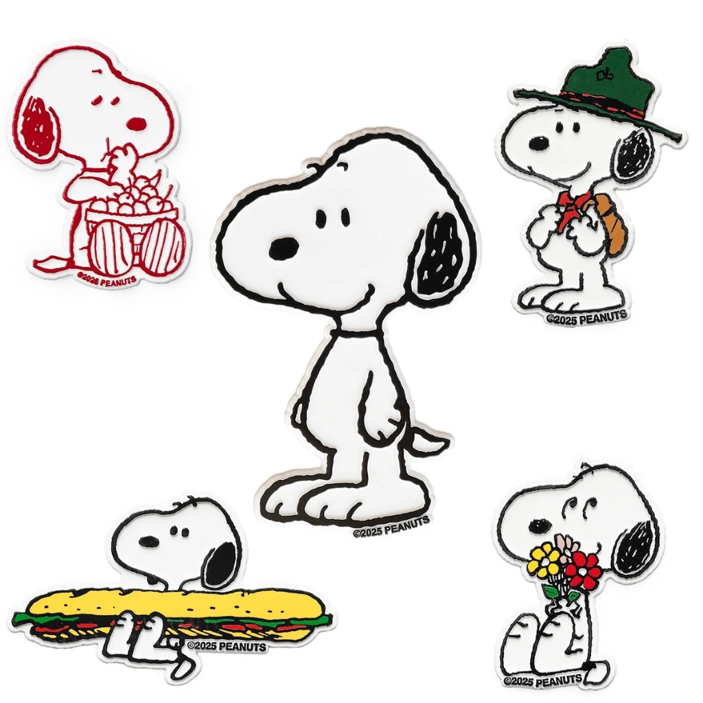 Peanuts Snoopy fridge magnet collection by Three Potato Four, including the Classic Jumbo, Flower Bouquet, Beagle Scout, and sandwich magnets