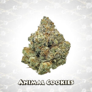 Death Row Records THCA Flower Animal Cookies 3.5g close view