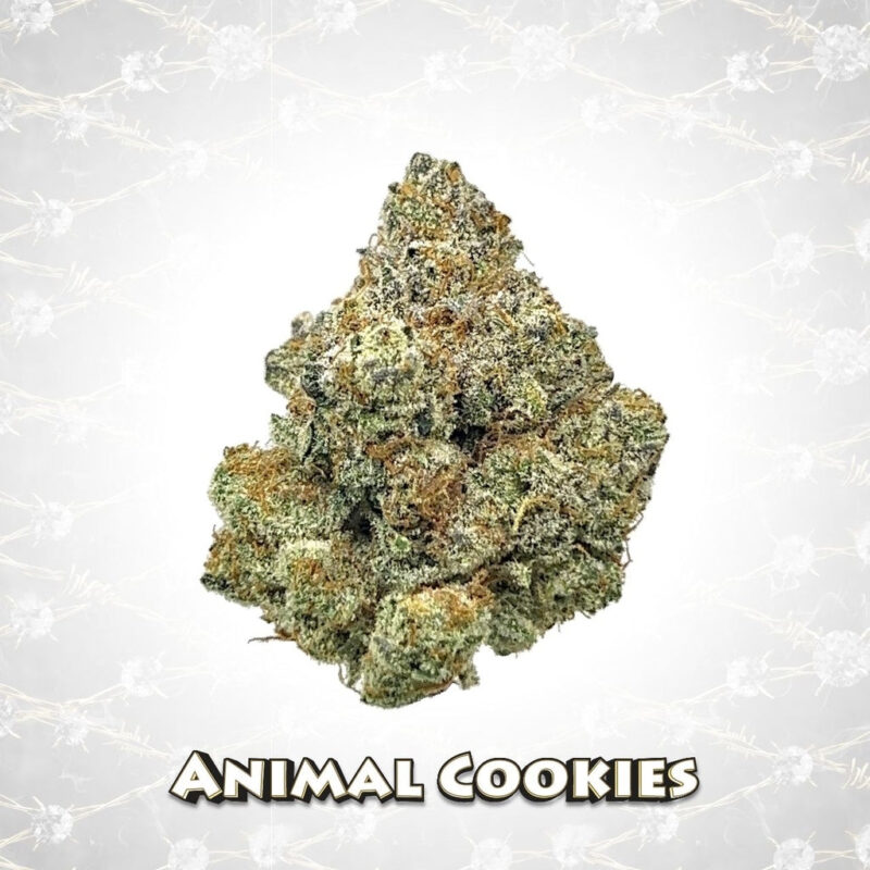 Death Row Records THCA Flower Animal Cookies 3.5g close view