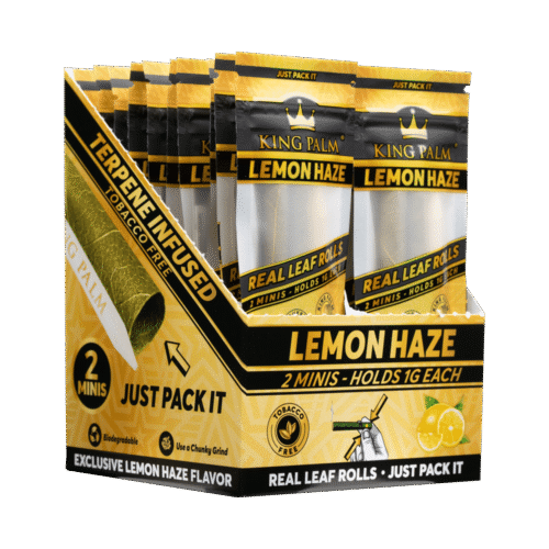 king-palm-mini-cones-lemon-haze-box king palm mini cones lemon haze box