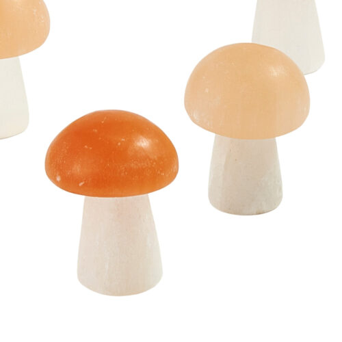 selenite-crystal-mushroom Selenite Crystal Mushroom