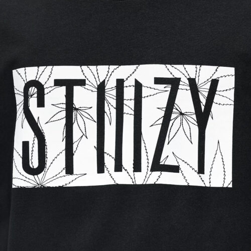 STIIIZY Leaf Logo T-Shirt in Black front view